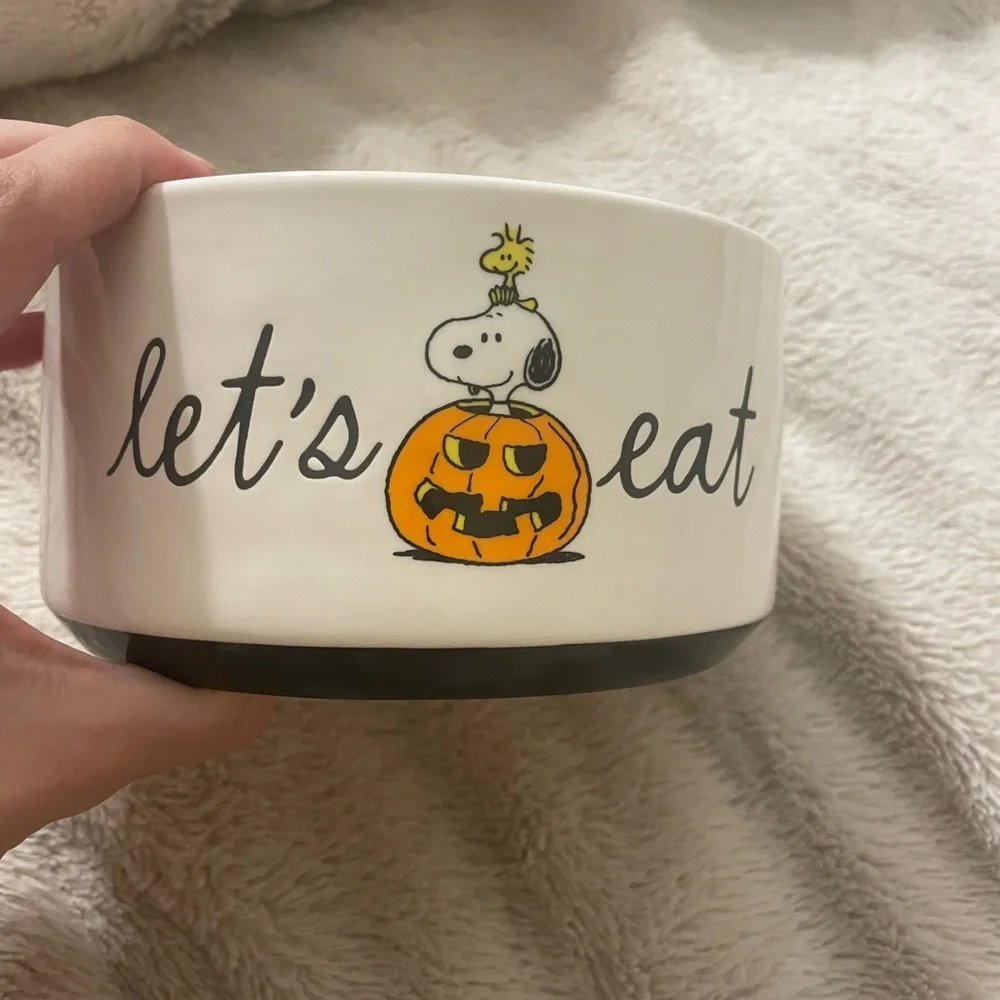 NWT Peanuts and Rae Dunn Pet Food or Water Bowl